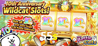 Live Casino 55s
